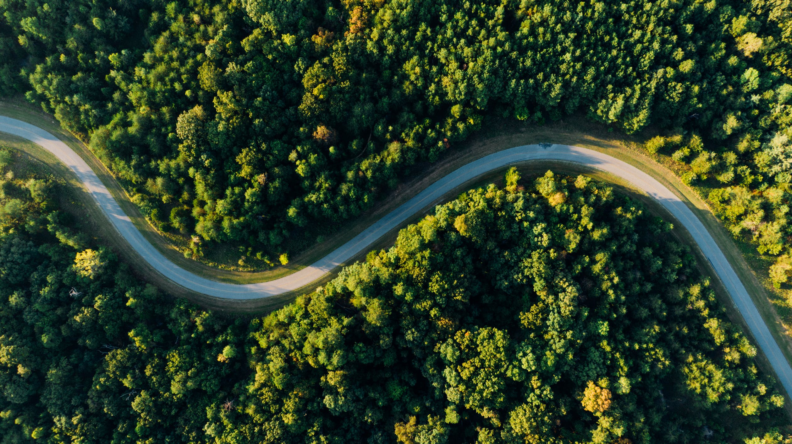 curvy-road